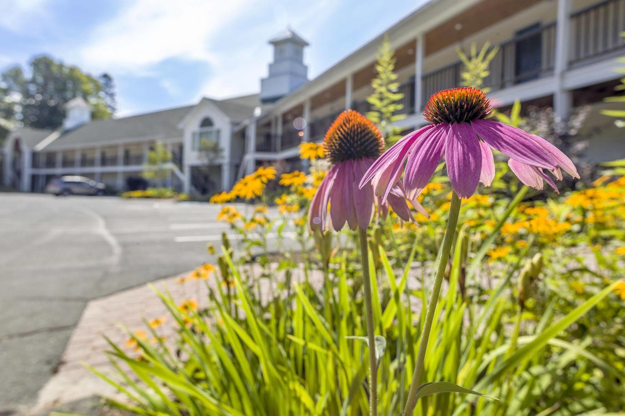 Fairbanks Inn St. Johnsbury Esterno foto